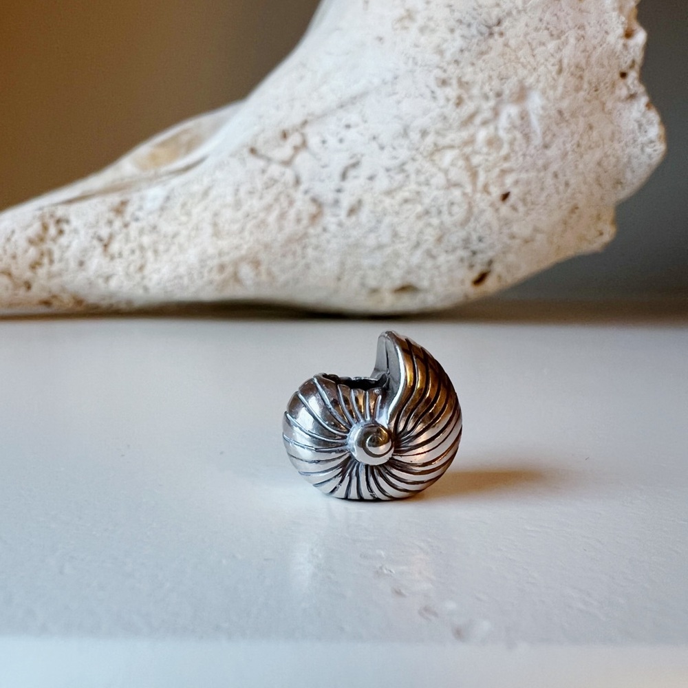 Brighton Bead Sea Shell